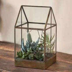 Nkuku Sampara Terrarium
