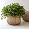Nkuku Wampu Wide Planter - Small Distressed Terracotta