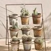 Nkuku Abari Planter Stand In Aged Zinc