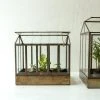Nkuku Telaga Antique Brass Terrarium Small