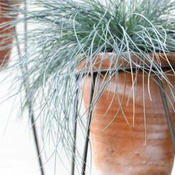 Nkuku Jara Terracotta Planter with Stand