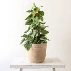 Nkuku Affiti Clay Plant Pot - Large | Handcrafted Terracotta Planter for Indoor & Outdoor Use 5 Nkuku Affiti Clay Plant Pot - Large