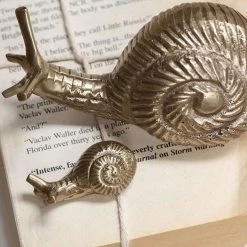 Nkuku Large Brass Snail Paper Weight