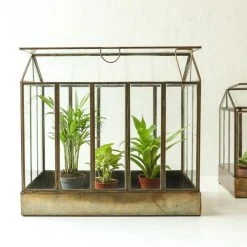 Nkuku Telaga Antique Brass Terrarium Large