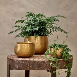 Nkuku Atsu Brass Planter - Small