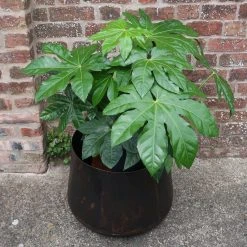 Nkuku Endo Reclaimed Iron Planter - Large | Rustic Indoor & Outdoor Plant Pot 10 Nkuku Endo Reclaimed Iron Planter - Large