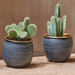 Nkuku Tembesi Antique Black Brass Planter Set Of 2