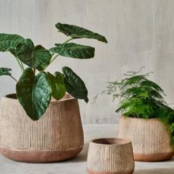 Nkuku Small Terracotta Wampu Wide Planter