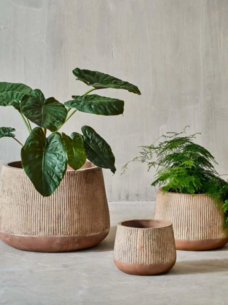 Nkuku Small Terracotta Wampu Wide Planter - Handcrafted Home Decor for Indoor & Outdoor Use 1 Nkuku Small Terracotta Wampu Wide Planter