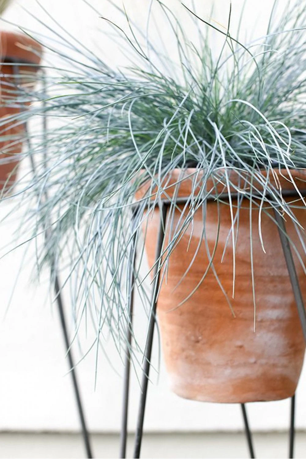 Nkuku Jara Terracotta Planter with Stand - Handcrafted Home Decor for Indoor & Outdoor Use 3 Nkuku Jara Terracotta Planter with Stand