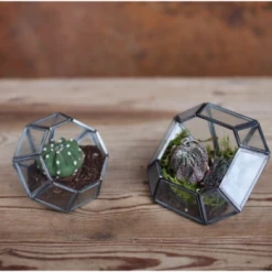 Nkuku Aketa Zinc Terrarium - Small Planter