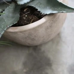 Nkuku Affiti Clay Planter By