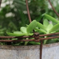 Nkuku Abari Caged Hanging Planter - Handwoven Rattan Indoor/Outdoor Plant Holder for Boho Home Decor 7 Nkuku Abari Caged Hanging Planter