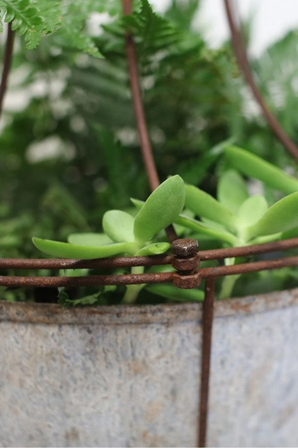 Nkuku Abari Caged Hanging Planter - Handwoven Rattan Indoor/Outdoor Plant Holder for Boho Home Decor 3 Nkuku Abari Caged Hanging Planter