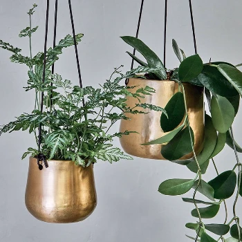 Nkuku Large Atsu Brass Hanging Planter - Elegant Room Decor for Indoor Plants 3 Nkuku Large Atsu Brass Hanging Planter