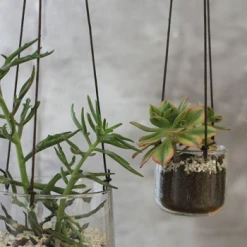 Nkuku Viri Hanging Planter - Clear Hammered Glass