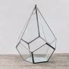 Nkuku Small Pyramid Terrarium