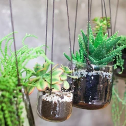 Nkuku Medium Viri Hanging Planter