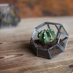 Nkuku Aketa Zinc Terrarium - Small Planter