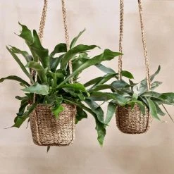 Nkuku Sangdi Seagrass Hanging Planter - Small