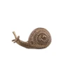 Nkuku Brass Snail Paperweight - Large