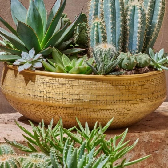 Nkuku Tembesi Etched Round Planter Bowl - Large | Handcrafted Home Decor 3 Nkuku Tembesi Etched Round Planter Bowl - Large