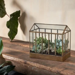 Nkuku Telaga Display Antique Brass Terrarium - Smalll