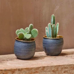 Nkuku Tembesi Planter