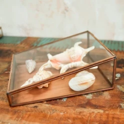 Nkuku Bequai Sloping Jewellery / Display Box