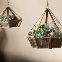 Nkuku Mina Hanging Terrarium