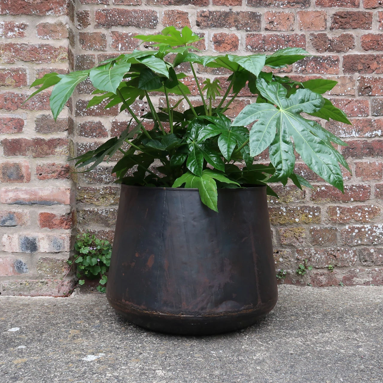 Nkuku Endo Reclaimed Iron Planter - Large | Rustic Indoor & Outdoor Plant Pot 6 Nkuku Endo Reclaimed Iron Planter - Large