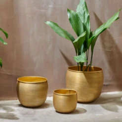 Nkuku Tembesi Etched Planter - Antique Brass - Medium