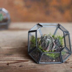 Nkuku Aketa Zinc Terrarium - Small Planter