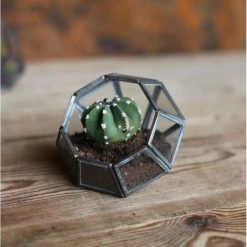 Nkuku Aketa Planter - Handcrafted Ceramic Plant Pot for Indoor & Outdoor Gardens 8 Nkuku Aketa Planter