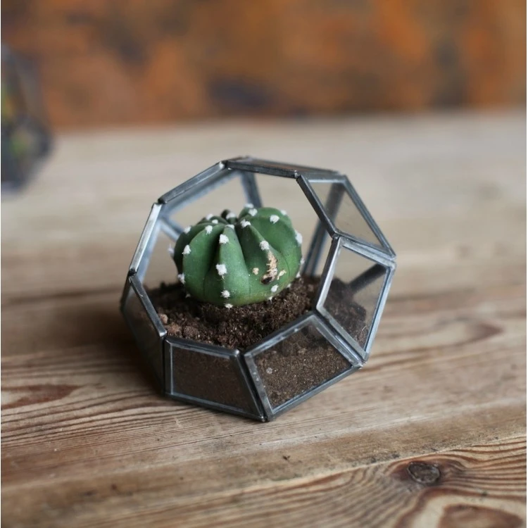 Nkuku Aketa Planter - Handcrafted Ceramic Plant Pot for Indoor & Outdoor Gardens 4 Nkuku Aketa Planter