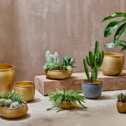 Nkuku Small Antique Brass Tembesi Etched Planter - Handcrafted Home Decor 5 Nkuku Small Antique Brass Tembesi Etched Planter