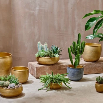 Nkuku Small Antique Brass Tembesi Etched Planter - Handcrafted Home Decor 3 Nkuku Small Antique Brass Tembesi Etched Planter