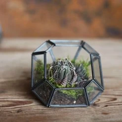 Nkuku Aketa Planter - Handcrafted Ceramic Plant Pot for Indoor & Outdoor Gardens 9 Nkuku Aketa Planter